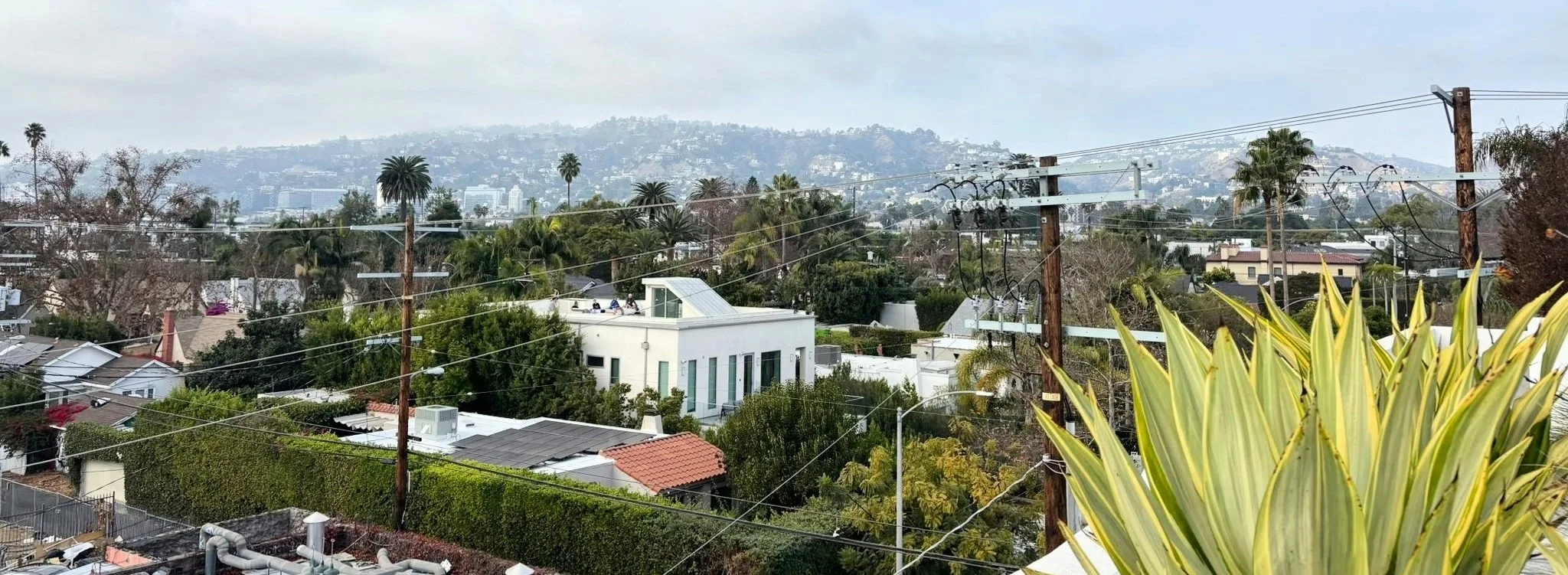 Casanona at Melrose Avenue