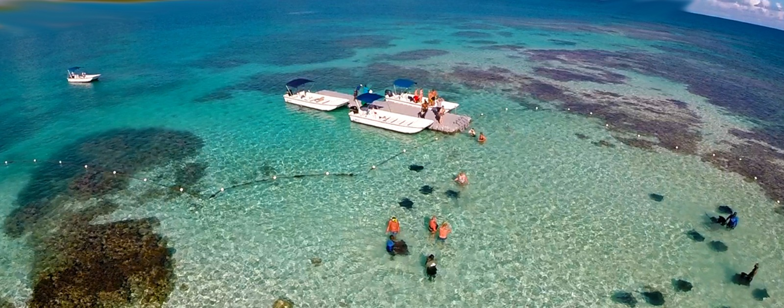 Stingray City Antigua 